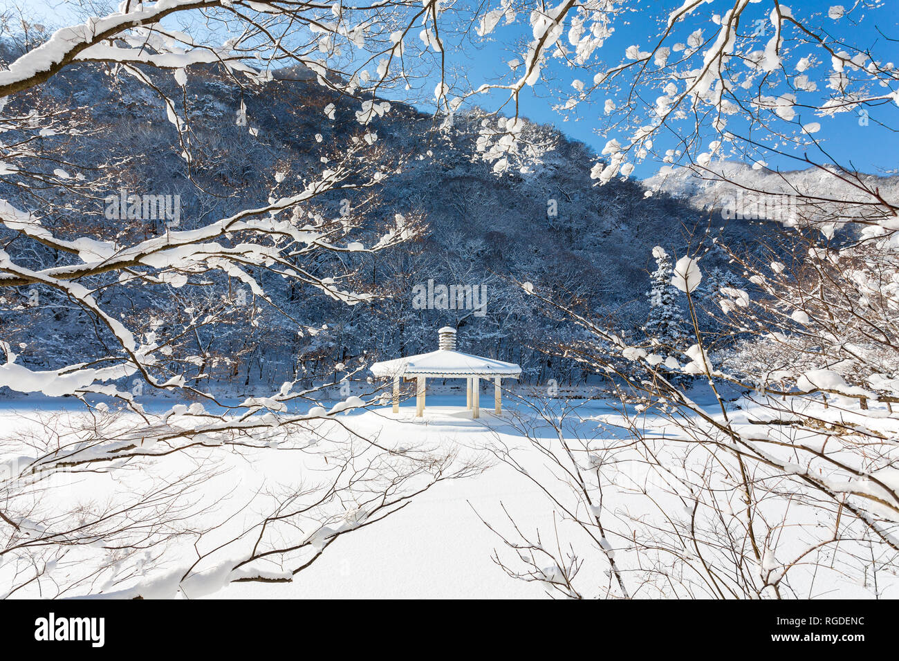 Paesaggio invernale in Naejangsan national park, la Corea del Sud. Foto Stock