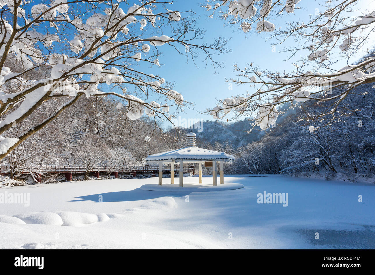 Paesaggio invernale in Naejangsan national park, la Corea del Sud. Foto Stock