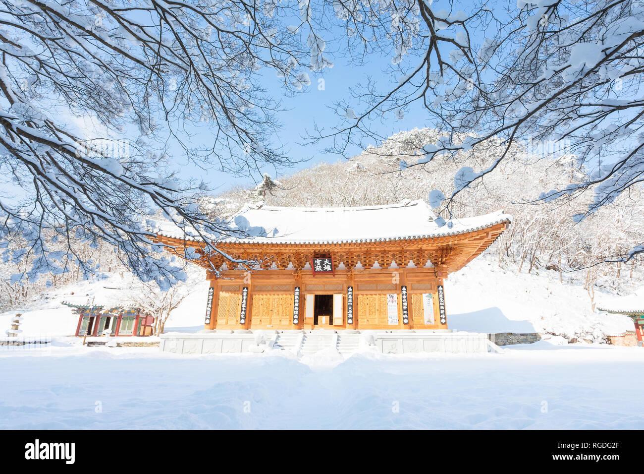 Coperta di neve gli alberi e Naejangsa tempio in Naejangsan national park, la Corea del Sud. Foto Stock