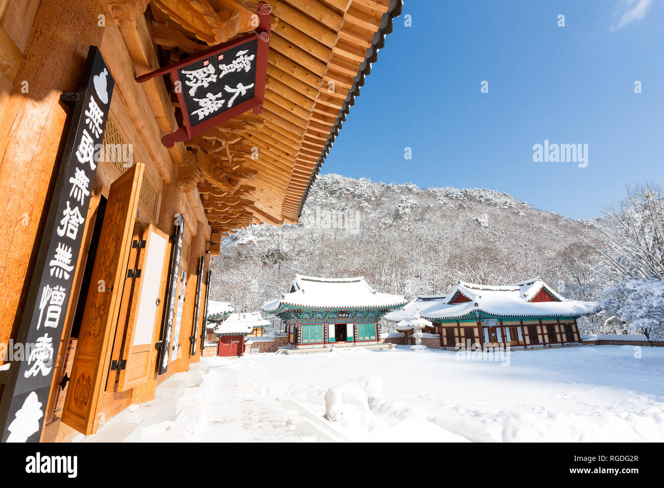 Coperta di neve gli alberi e Naejangsa tempio in Naejangsan national park, la Corea del Sud. Foto Stock