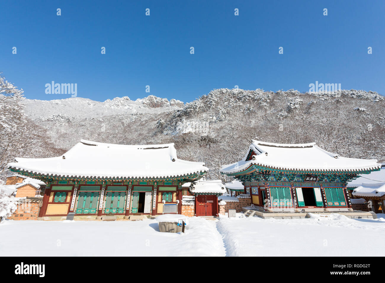 Coperta di neve gli alberi e Naejangsa tempio in Naejangsan national park, la Corea del Sud. Foto Stock