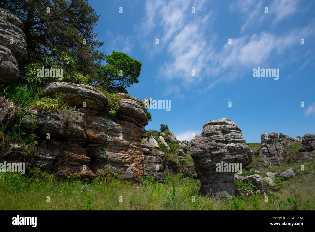 Una strana ma bellissima a forma di testa di fungo rock Vicino Grotte di sabbia a Mpumalanga Provincia, Sud Africa. Foto Stock
