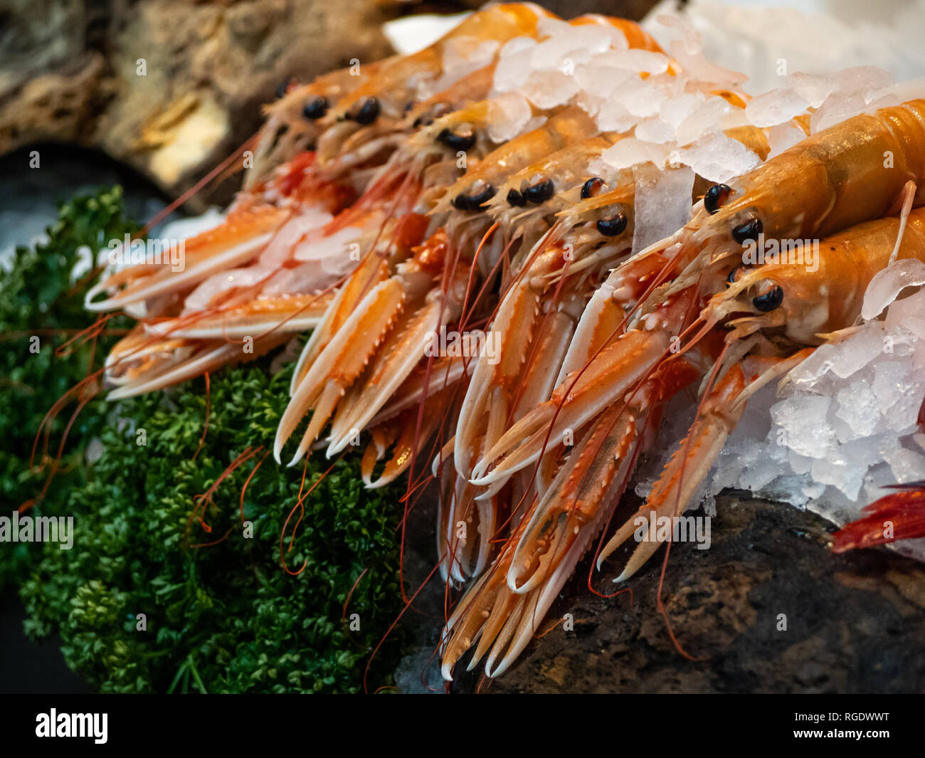 Appena catturati Langoustine su ghiaccio a un pescivendoli in London Borough Market. Foto Stock