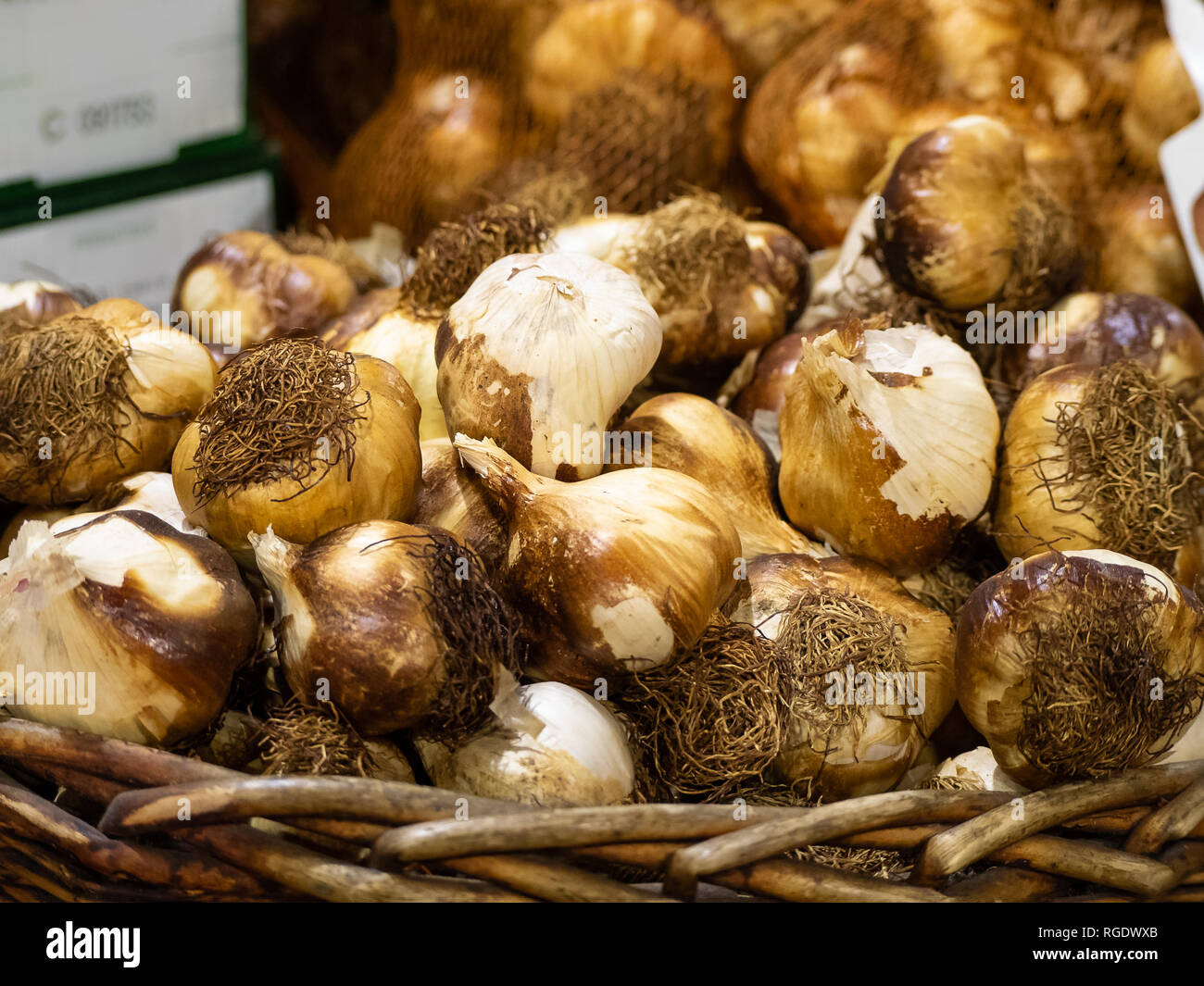 Affumicato bulbi di aglio sul display in un cesto di vimini a prodotti freschi stallo in London Borough Market Foto Stock