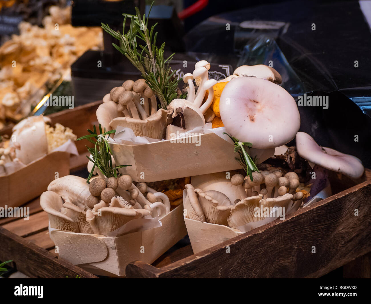 Fungo esotico selezione sul display in una nuova produzione di stallo in London Borough Market Foto Stock