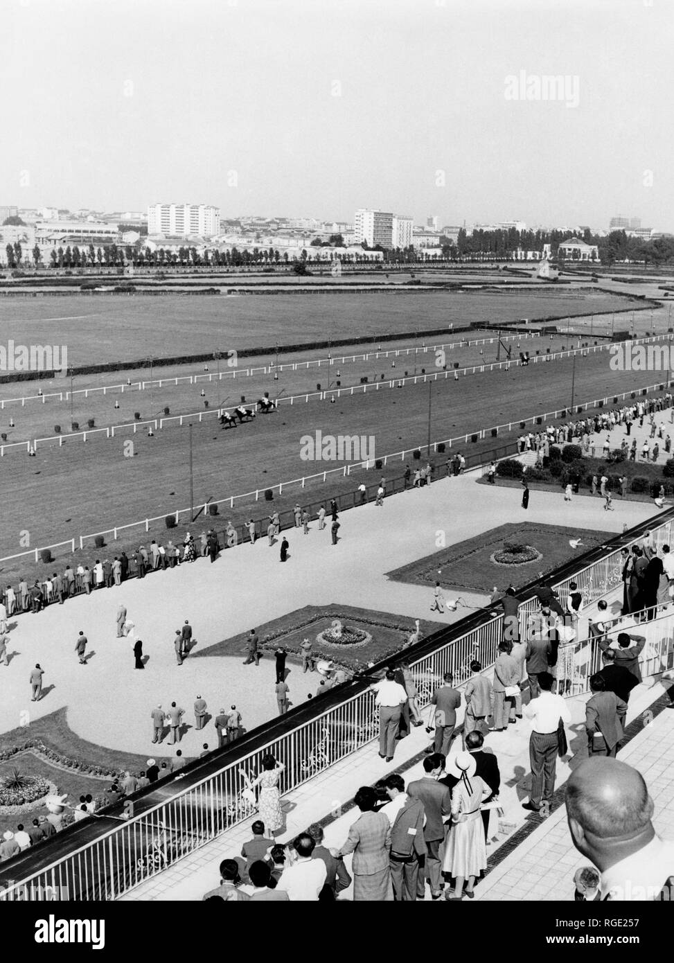 L'Italia, Lombardia, Milano San Siro ippodromo, 1955 Foto stock - Alamy