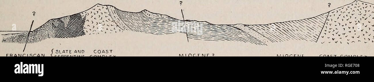 . Bollettino della Geological Society of America. La geologia. Francescana e post-storia francescana 421 è stato frantumato in piccoli frammenti e recemented da silice, formando una varietà litologica che è in qualche misura caratteristica della forma- zione. A Molle di ardesia la formazione è stato ruotato in una quasi verticale di atteggiamento da nord-est a sud-ovest di sollecitazione e una serie distinte di fratture e difetti è stata prodotta da una sollecitazione di fare un grande angolo con quella che ha prodotto la generale dip. La complexit}^ della croce e piegatura faulting in serie francescana ha impedito geologis Foto Stock