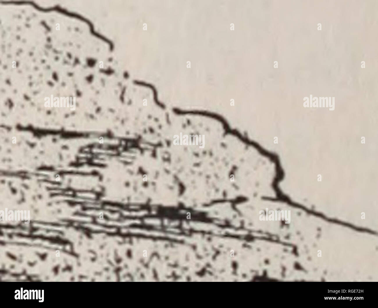 . Bollettino della Geological Society of America. La geologia. 168 E. H. BARBOUR-cristalli di sabbia Croce, di York, che li avevano ricevuti, senza dati, da Doane col- lege, Creta, Nebraska. I disegni sono stati realizzati dei gruppi, e la questione è stata presentata lo stesso anno per il Nebraska Accademia delle Scienze. Sebbene diligente indagine è stata fatta, nulla potrebbe essere appreso della loro località fino a quando il Reverendo J. M. Bates, di Pino lungo, informato lo scrittore del punto esatto, che è stata visitata al più presto possibile. Il luogo è stato studiato, una grande quantità di materiale rappresentativo raccolti e fotografie secure Foto Stock
