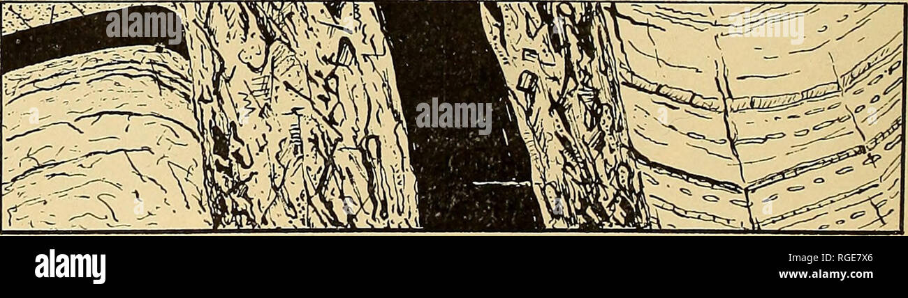 . Bollettino della Geological Society of America. La geologia. Figura 23.-Sezione di argilla-vena nel "poco" del carbone del Derbyshire. Un cinquantesimo dimensione naturale.. La figura 2-i.-sezione in un tunnel a Moira, Leicestershire. Un centesimo di grandezza naturale. abbastanza per diventare riempito nel modo illustrato. Lo stesso problema è stato attraversato circa lb miglia a nord est di questa sezione in una stazione di taglio. La sua larghezza non vi era di 12 piedi e blocchi angolari di carbone faceva parte del più riempimento argilloso. , La figura 25 rappresenta una sezione verticale rivelando una notevole vena piana di argilla, X X', intersecante il " Lo Foto Stock