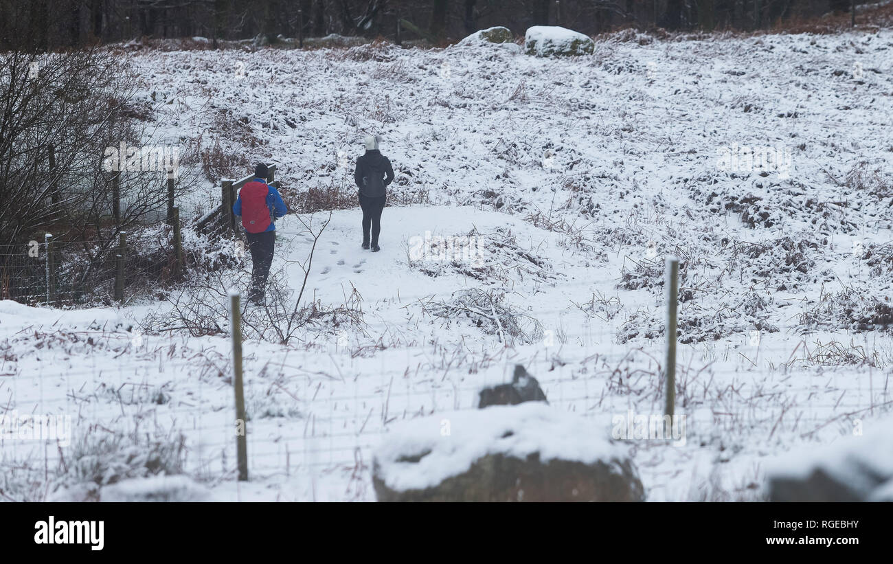 Thirlmere, Keswick, Cumbria. 29 gen 2019. Regno Unito: Meteo Walkers andare per una escursione nella neve a Thirlmere, Keswick, Cumbria, Regno Unito. Il 29 gennaio 2019. Fotografia di Richard Holmes. Credito: Richard Holmes/Alamy Live News Foto Stock