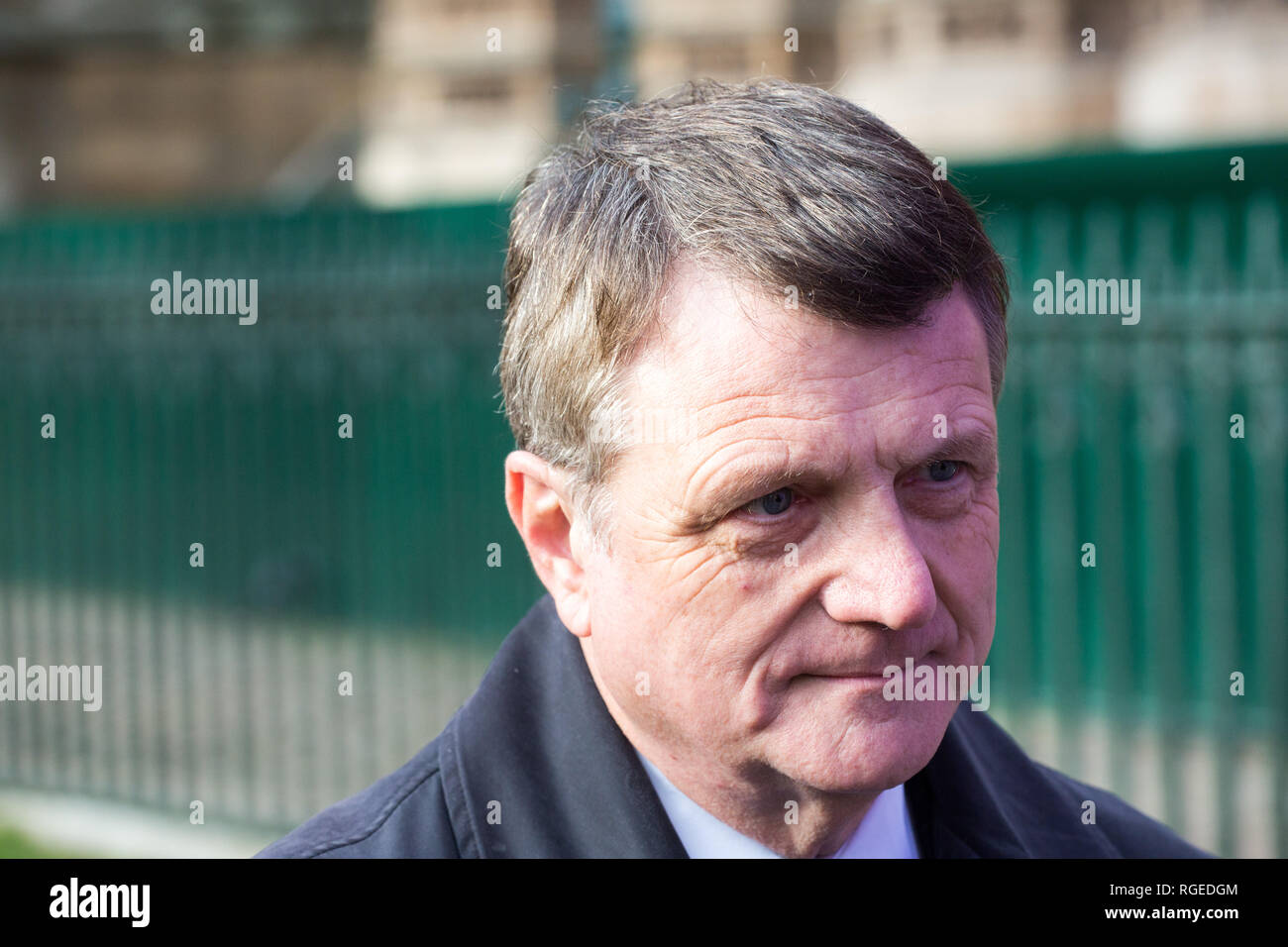 Londra, Regno Unito. 29 gen, 2019. Gerard Batten, leader dell'UKIP, colloqui con i sostenitori e i mass media al di fuori della sede del Parlamento . Credito: George Wright Cracknell/Alamy Live News Foto Stock