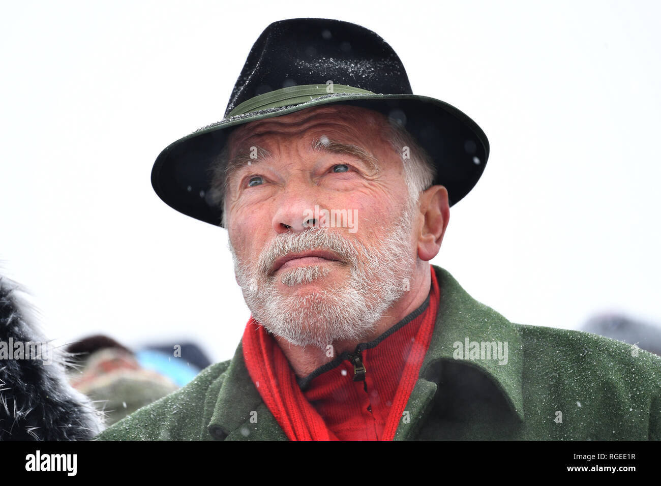 Arnold Schwarzenegger come spettatore, foto singola, one-cut motif, Ritratto, Ritratto, Ritratto. Sci alpino, gara, 79. Hahnenkamm race 2019, slalom speciale maschile, uomini, Kitzbuehel, Hahnenkamm, 26.01.2019. | Utilizzo di tutto il mondo Foto Stock