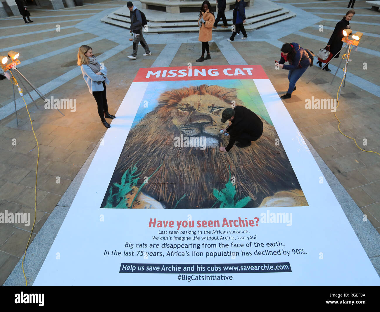 Londra, Regno Unito. Il 29 gennaio, 2019. Ora mi vedi, ORA NON TI MANCA gigante cat poster è un promemoria di stark che grande gatti stanno scomparendo davanti ai nostri occhi • emotiva artwork è stato commissionato da National Geographic per aumentare la consapevolezza della sua grande gatti iniziativa che lavora per arrestare il declino globale di grande gatti selvatici in • Il poster a scomparsa è stato progettato da artista di strada, Dean Zeus Colman, come un promemoria di struggente del ruolo che gli esseri umani in gioco la scomparsa del grande gatti • I Lions sono ormai scomparse dal 90% della loro gamma storica1 Credito: Oliver Dixon/Alamy Live News Foto Stock