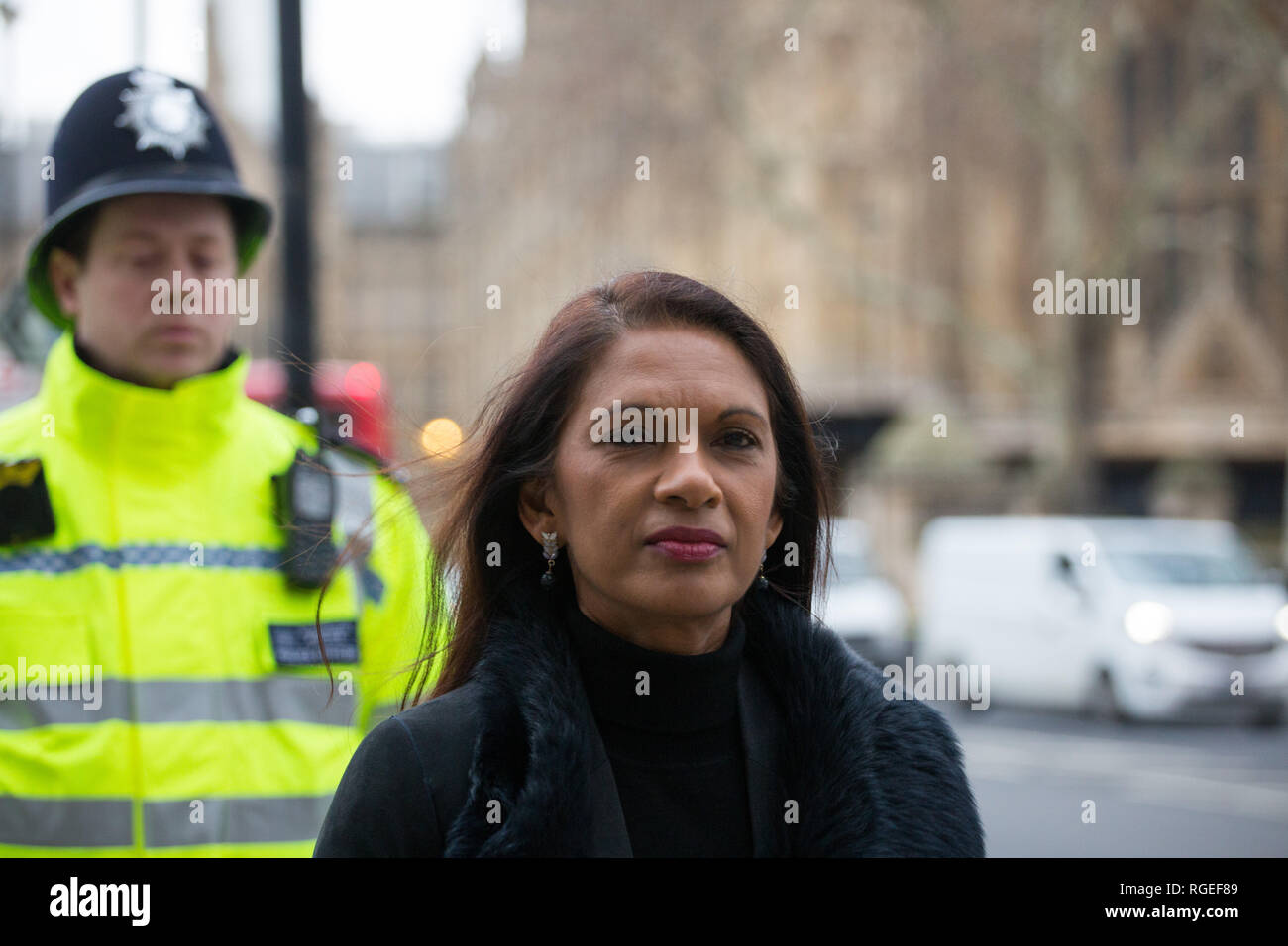 London , Regno Unito . 29 gennaio ,2019.Gina Miller è seguita da Pro Brexit Giubbotto giallo manifestanti fuori le case del Parlamento. Credito : George Cracknell Wright /Alamy Live News Foto Stock