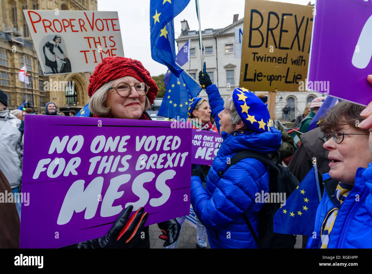 Londra, Regno Unito. Il 29 gennaio 2019. Remainers con manifesti compresi "Nessuno ha votato a favore di questa confusione". Il giorno di più voti Brexit, proteste in tutto il Parlamento continuare, con Remainers sventolando bandiere dell'UE, e Brexiteers holding indicazioni lasciare significa lasciare. Un piccolo gruppo, alcuni indossano giacche gialle è venuto a gridare al Remainers, li chiama traditori. Lontano da questo ci sono stati un paio di più motivata gli argomenti e gli altri rendendo i loro punti con vari costumi. Credito: Peter Marshall / Alamy Live News Foto Stock