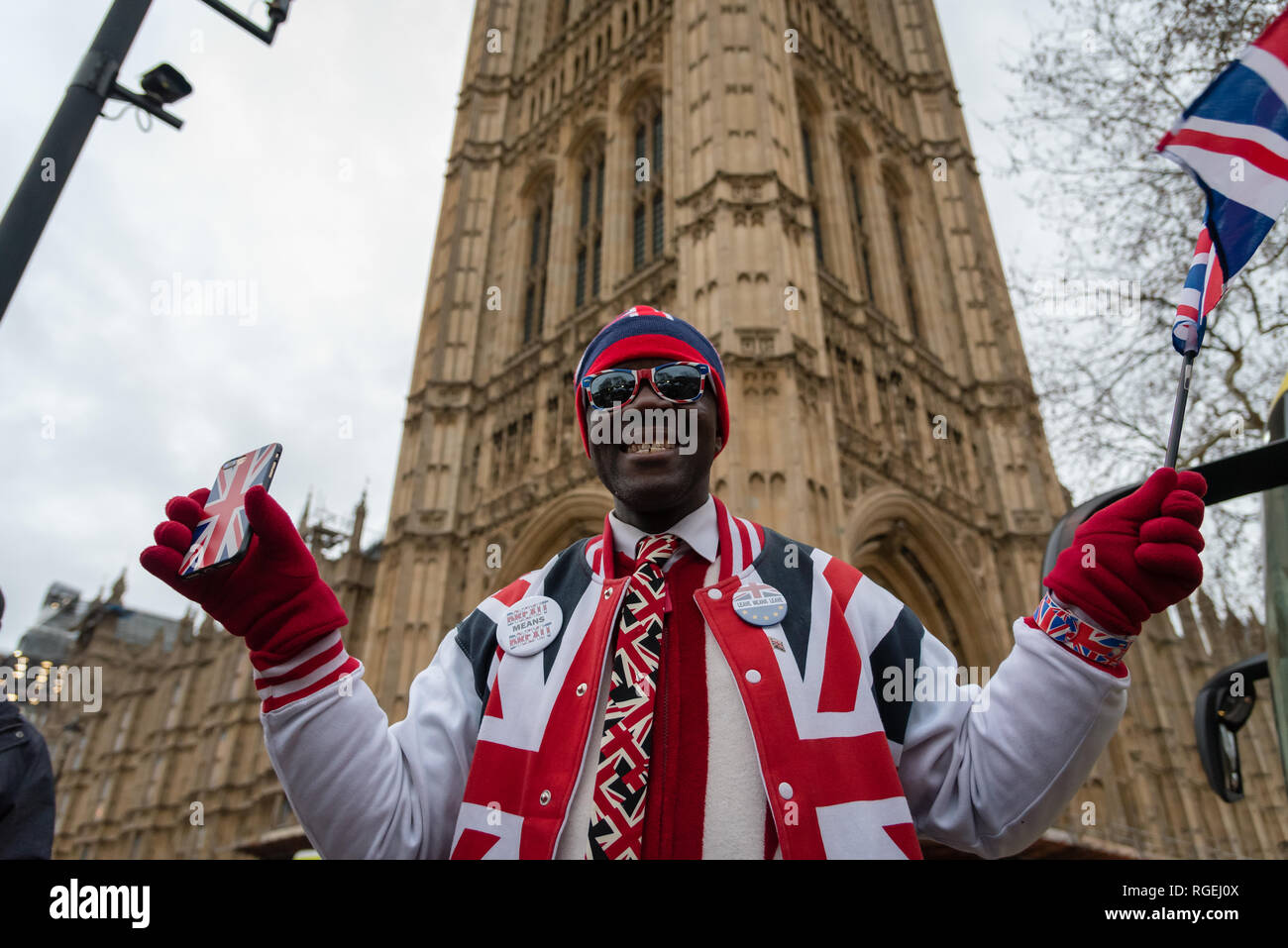 Londra, Regno Unito. Il 29 gennaio 2019. I manifestanti per rimanere e lasciare di parte protestavano fianco a fianco al di fuori del Parlamento oggi, in attesa che i vari emendamenti votati in seno alla Camera dei Comuni. Credito: Ilyas Ayub / Alamy Live News Foto Stock