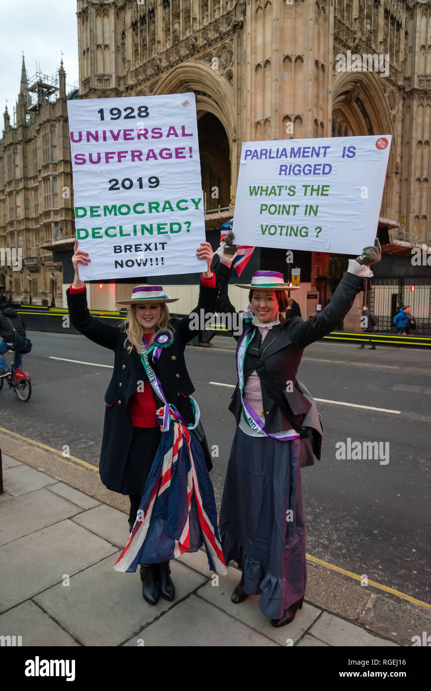 Londra, Regno Unito. Il 29 gennaio 2019. I manifestanti per rimanere e lasciare di parte protestavano fianco a fianco al di fuori del Parlamento oggi, in attesa che i vari emendamenti votati in seno alla Camera dei Comuni. Credito: Ilyas Ayub / Alamy Live News Foto Stock