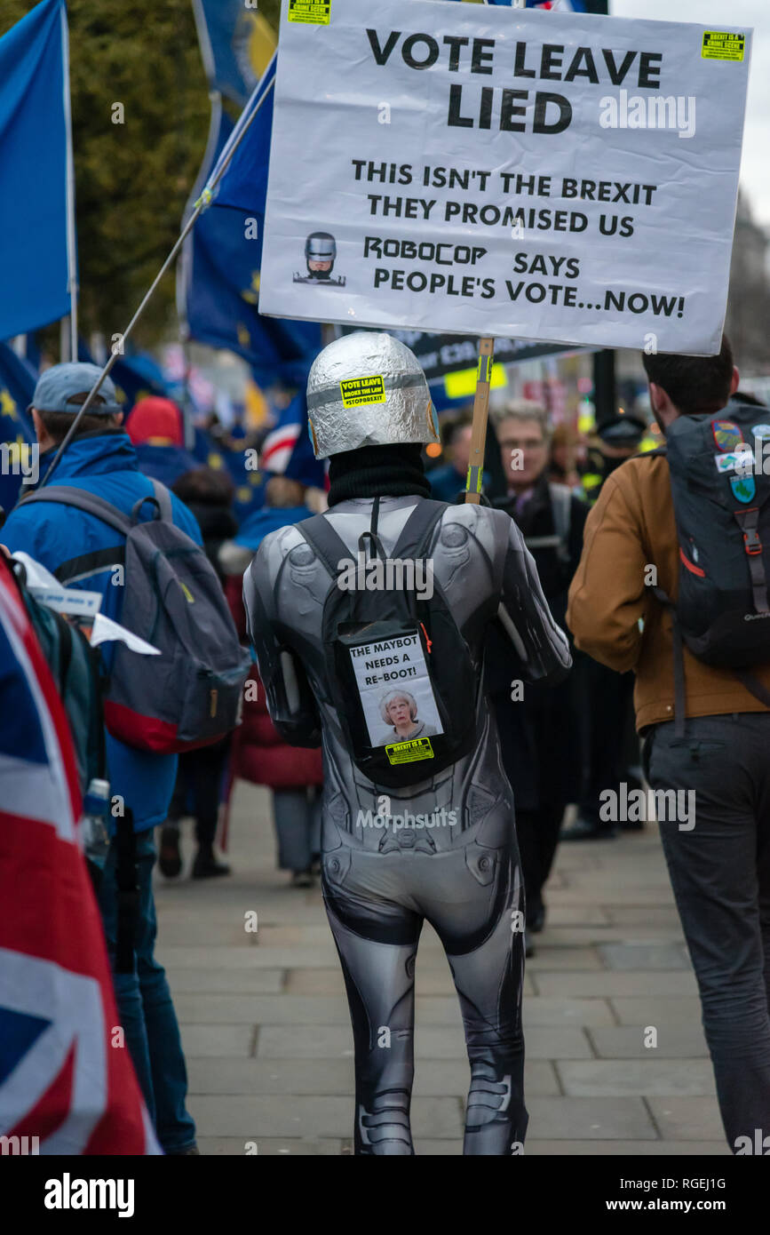 Londra, Regno Unito. Il 29 gennaio 2019. I manifestanti per rimanere e lasciare di parte protestavano fianco a fianco al di fuori del Parlamento oggi, in attesa che i vari emendamenti votati in seno alla Camera dei Comuni. Credito: Ilyas Ayub / Alamy Live News Foto Stock