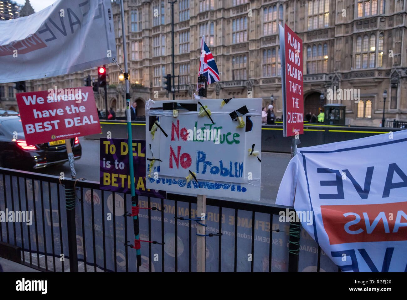Londra, Regno Unito. Il 29 gennaio 2019. I manifestanti per rimanere e lasciare di parte protestavano fianco a fianco al di fuori del Parlamento oggi, in attesa che i vari emendamenti votati in seno alla Camera dei Comuni. Credito: Ilyas Ayub / Alamy Live News Foto Stock