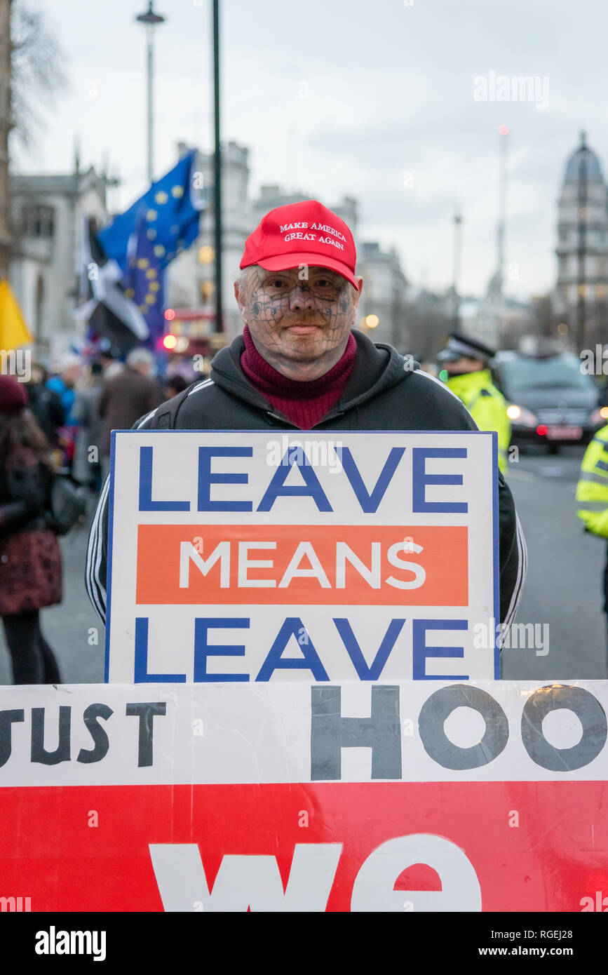 Londra, Regno Unito. Il 29 gennaio 2019. I manifestanti per rimanere e lasciare di parte protestavano fianco a fianco al di fuori del Parlamento oggi, in attesa che i vari emendamenti votati in seno alla Camera dei Comuni. Credito: Ilyas Ayub / Alamy Live News Foto Stock