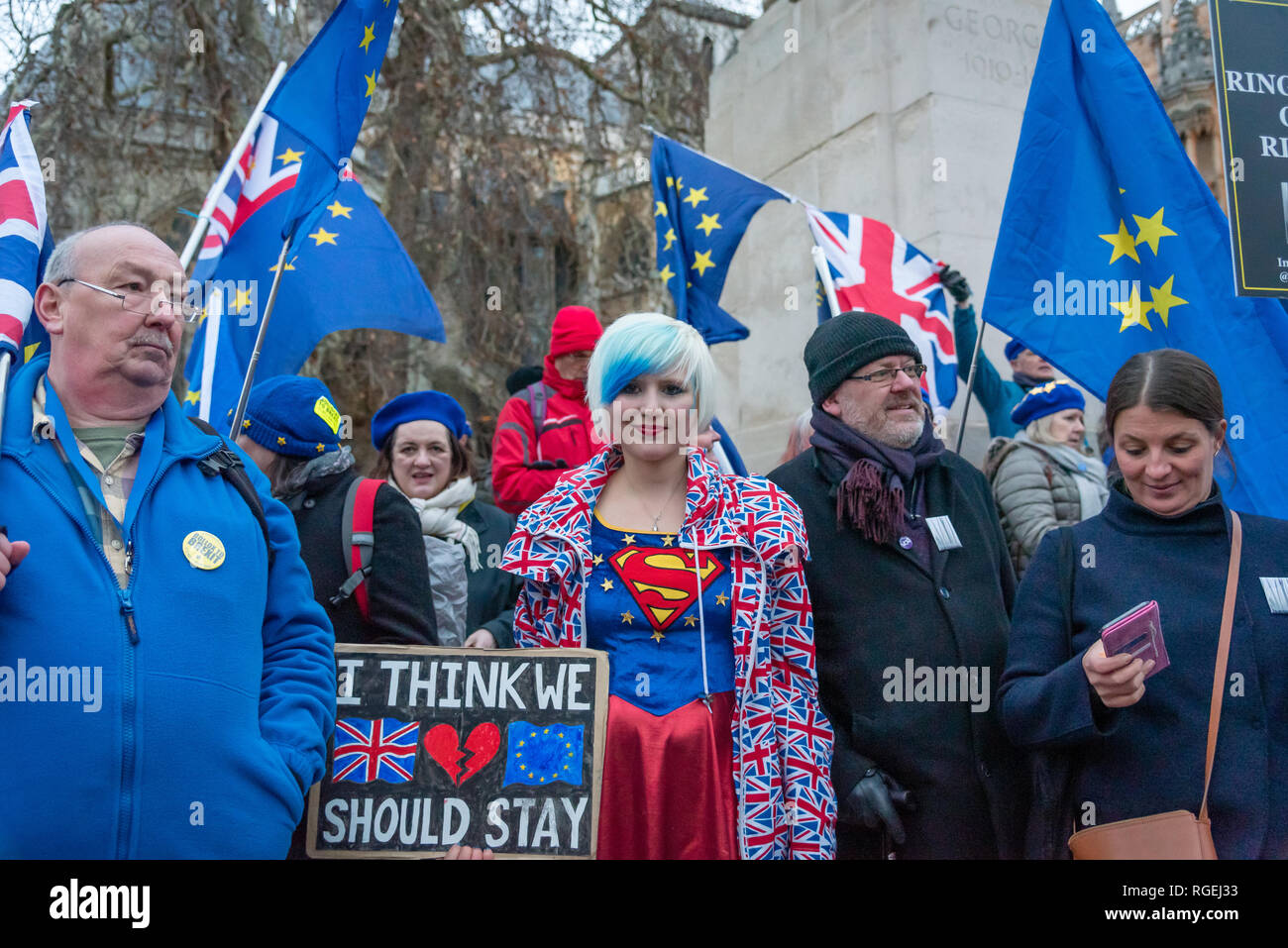 Londra, Regno Unito. Il 29 gennaio 2019. I manifestanti per rimanere e lasciare di parte protestavano fianco a fianco al di fuori del Parlamento oggi, in attesa che i vari emendamenti votati in seno alla Camera dei Comuni. Credito: Ilyas Ayub / Alamy Live News Foto Stock