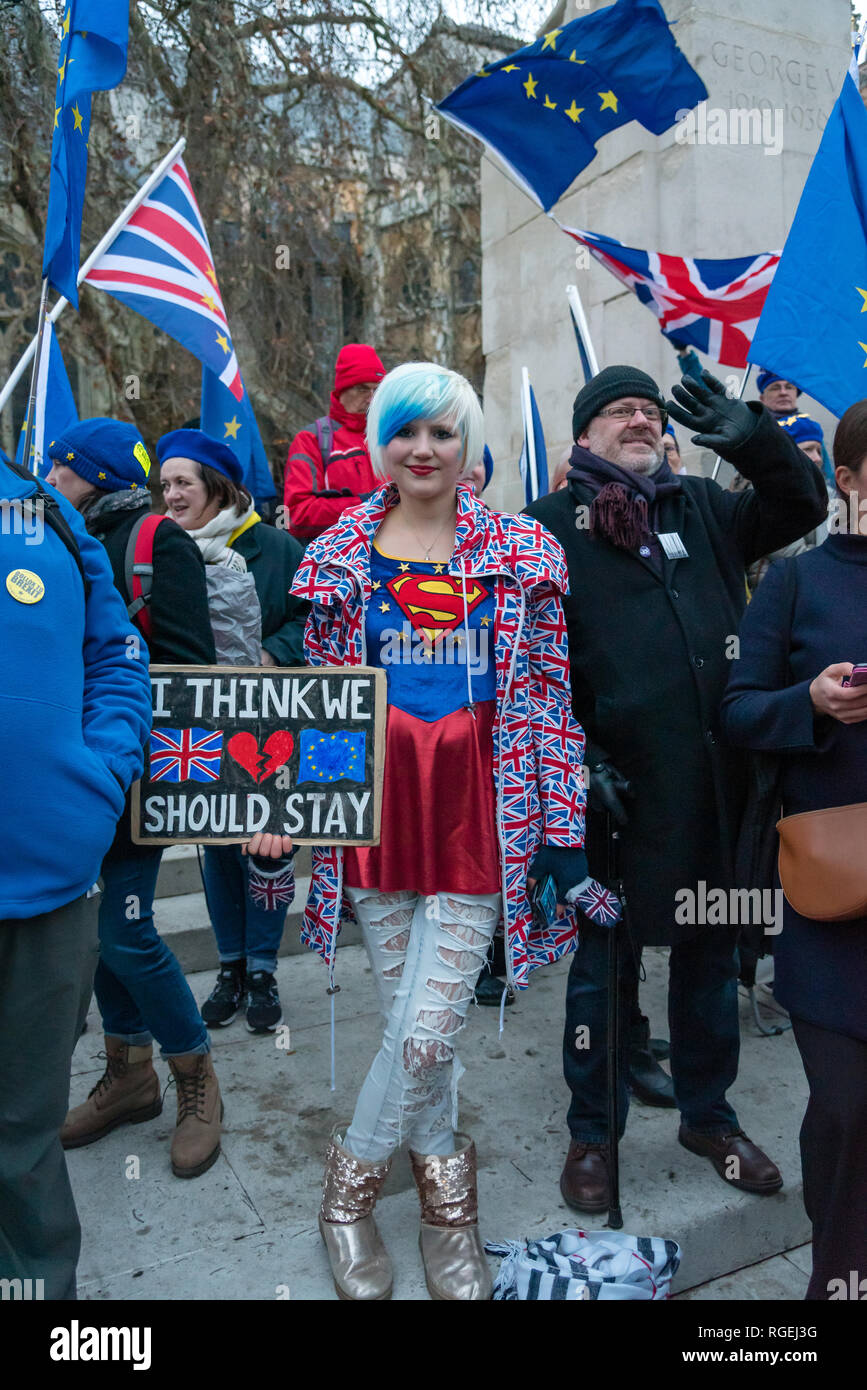 Londra, Regno Unito. Il 29 gennaio 2019. I manifestanti per rimanere e lasciare di parte protestavano fianco a fianco al di fuori del Parlamento oggi, in attesa che i vari emendamenti votati in seno alla Camera dei Comuni. Credito: Ilyas Ayub / Alamy Live News Foto Stock