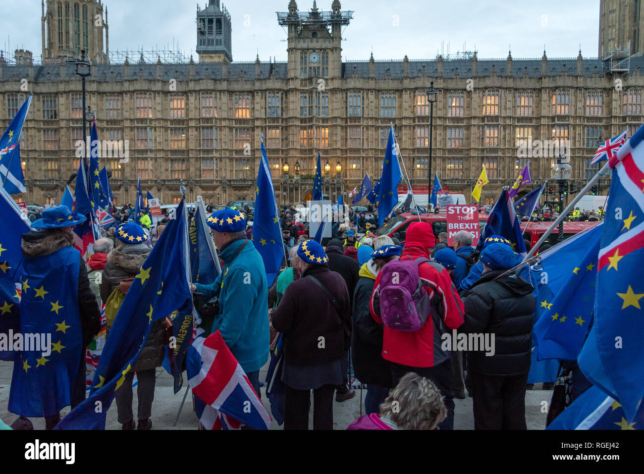 Londra, Regno Unito. Il 29 gennaio 2019. I manifestanti per rimanere e lasciare di parte protestavano fianco a fianco al di fuori del Parlamento oggi, in attesa che i vari emendamenti votati in seno alla Camera dei Comuni. Credito: Ilyas Ayub / Alamy Live News Foto Stock