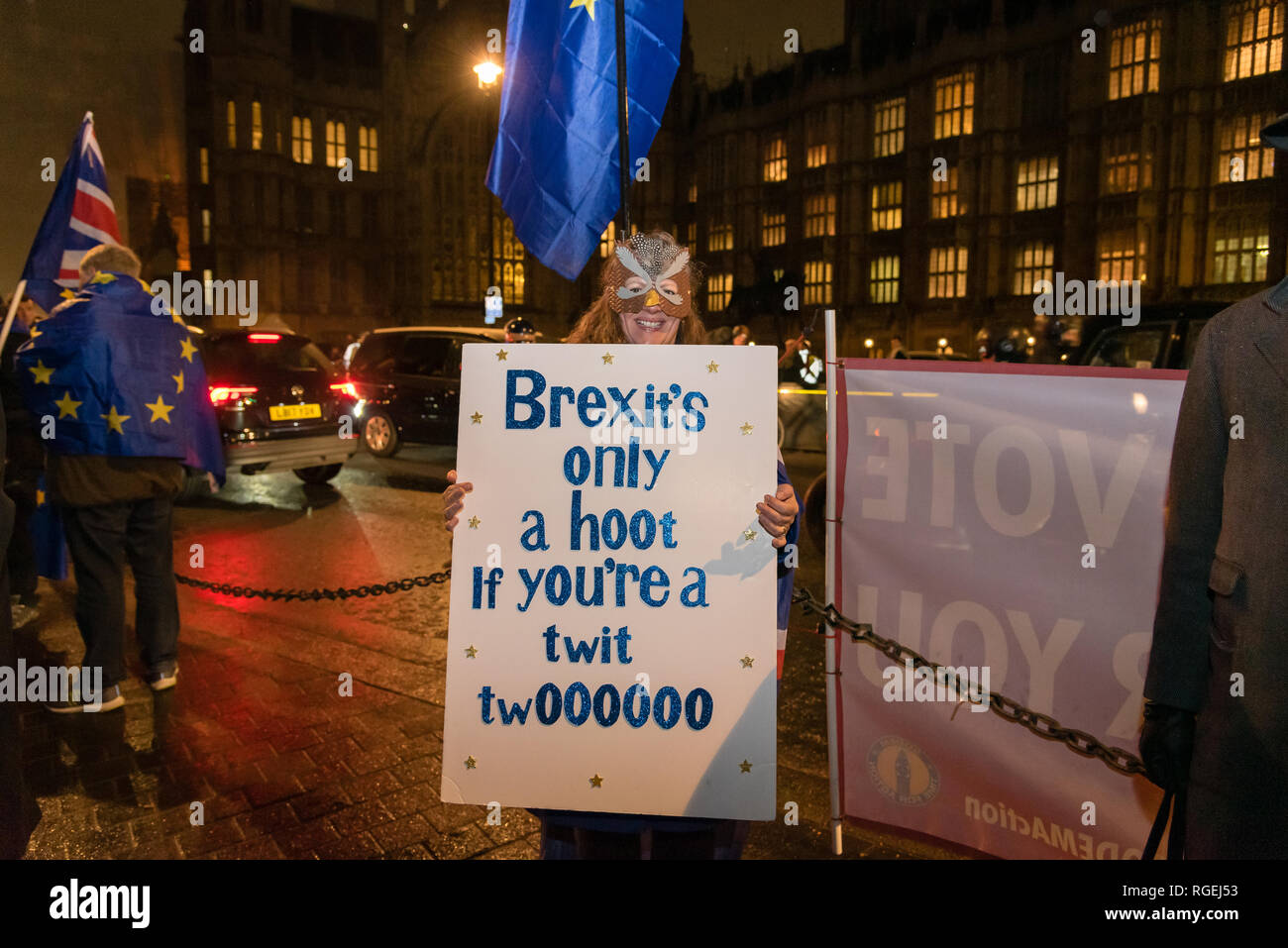 Londra, Regno Unito. Il 29 gennaio 2019. I manifestanti per rimanere e lasciare di parte protestavano fianco a fianco al di fuori del Parlamento oggi, in attesa che i vari emendamenti votati in seno alla Camera dei Comuni. Credito: Ilyas Ayub / Alamy Live News Foto Stock