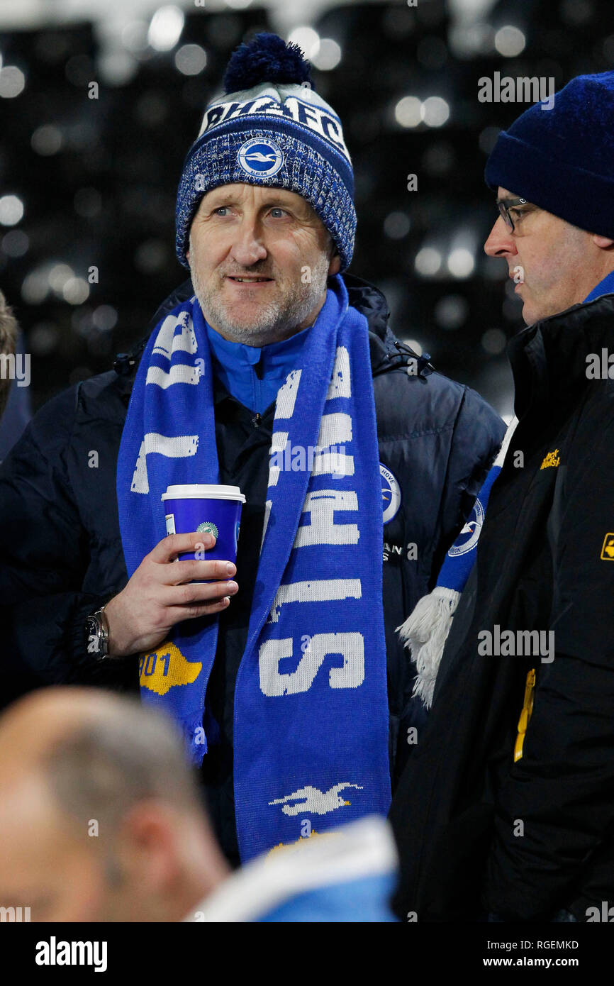 Londra, Regno Unito. Il 29 gennaio, 2019. A Brighton & Hove Albion FC ventola durante il match di Premier League tra Fulham e Brighton e Hove Albion a Craven Cottage, Londra, Inghilterra il 29 gennaio 2019. Foto di Carlton Myrie. Solo uso editoriale, è richiesta una licenza per uso commerciale. Nessun uso in scommesse, giochi o un singolo giocatore/club/league pubblicazioni. Credit: UK Sports Pics Ltd/Alamy Live News Foto Stock