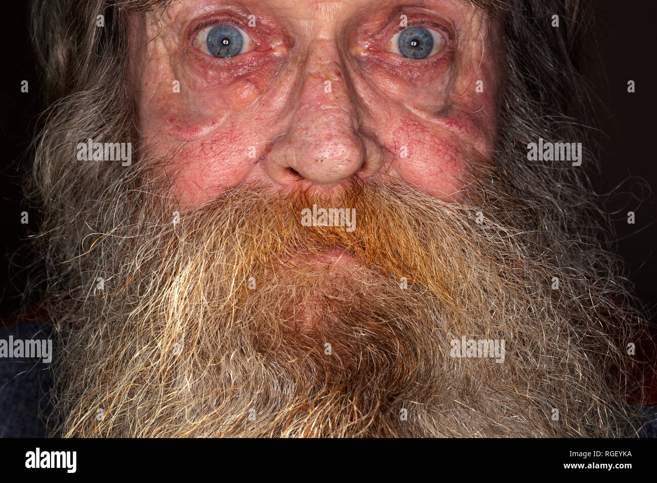 Uomo anziano con la barba lunga Foto Stock