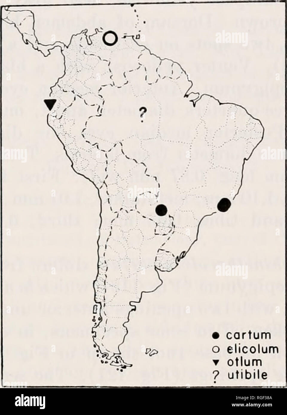 . Bollettino del museo di zoologia comparativa a Harvard College. Zoologia. LEVI: ACHAEARANEA E ECHINOTHERIDION 235 Diagnosi. Echinothcridion differisce da altri ragni theridiid dalla presenza di speroni sul quarto coxae (Fig. 121). La distribuzione. Sud America. Una specie di Venezuela, uno da Ecuador, uno dal bacino amazzonico e uno dal sud-est del Brasile e Paraguay (Mappa 3). Mappa 3. Distribuzione delle specie Echinotheridion. Chiave per la specie di Echinotheridion la. La metà posteriore del epigyniiiii con una trasversale, leggermente sclerotized gonfiarsi- ing (Fig. 116) ; Venezuela elicolum sp. n Foto Stock