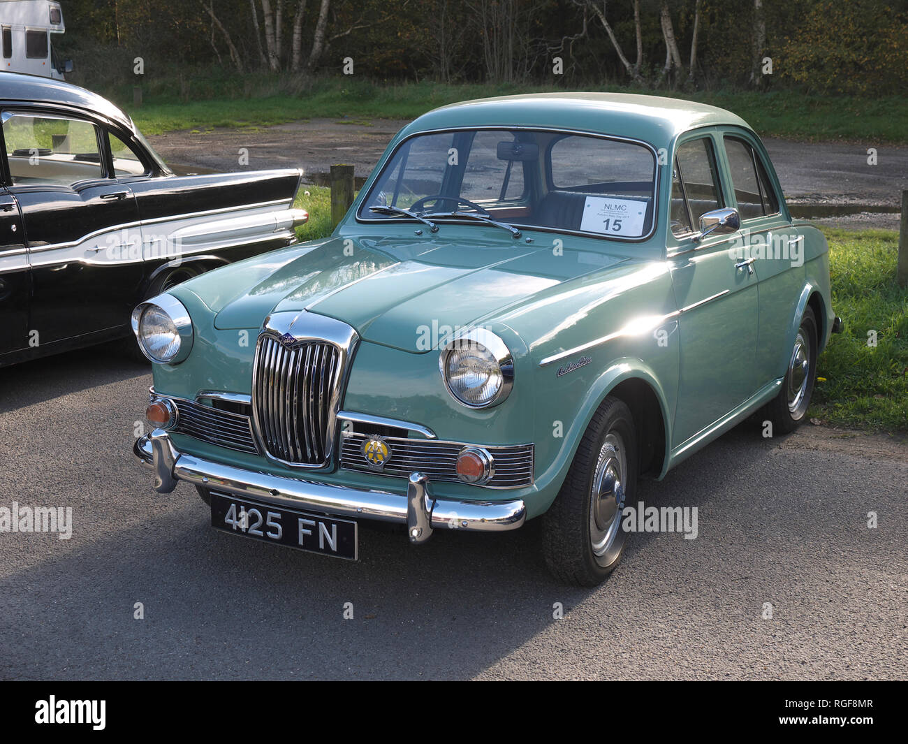 Classic Riley in Willingham boschi Foto Stock