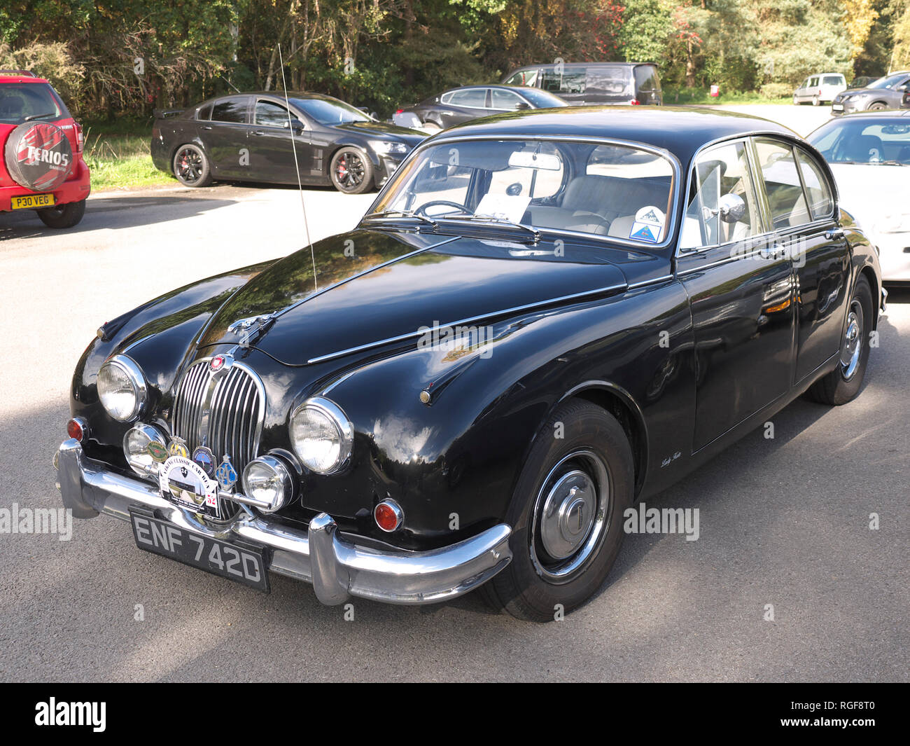 Classic 1966 Jaguar a Willingham boschi Foto Stock