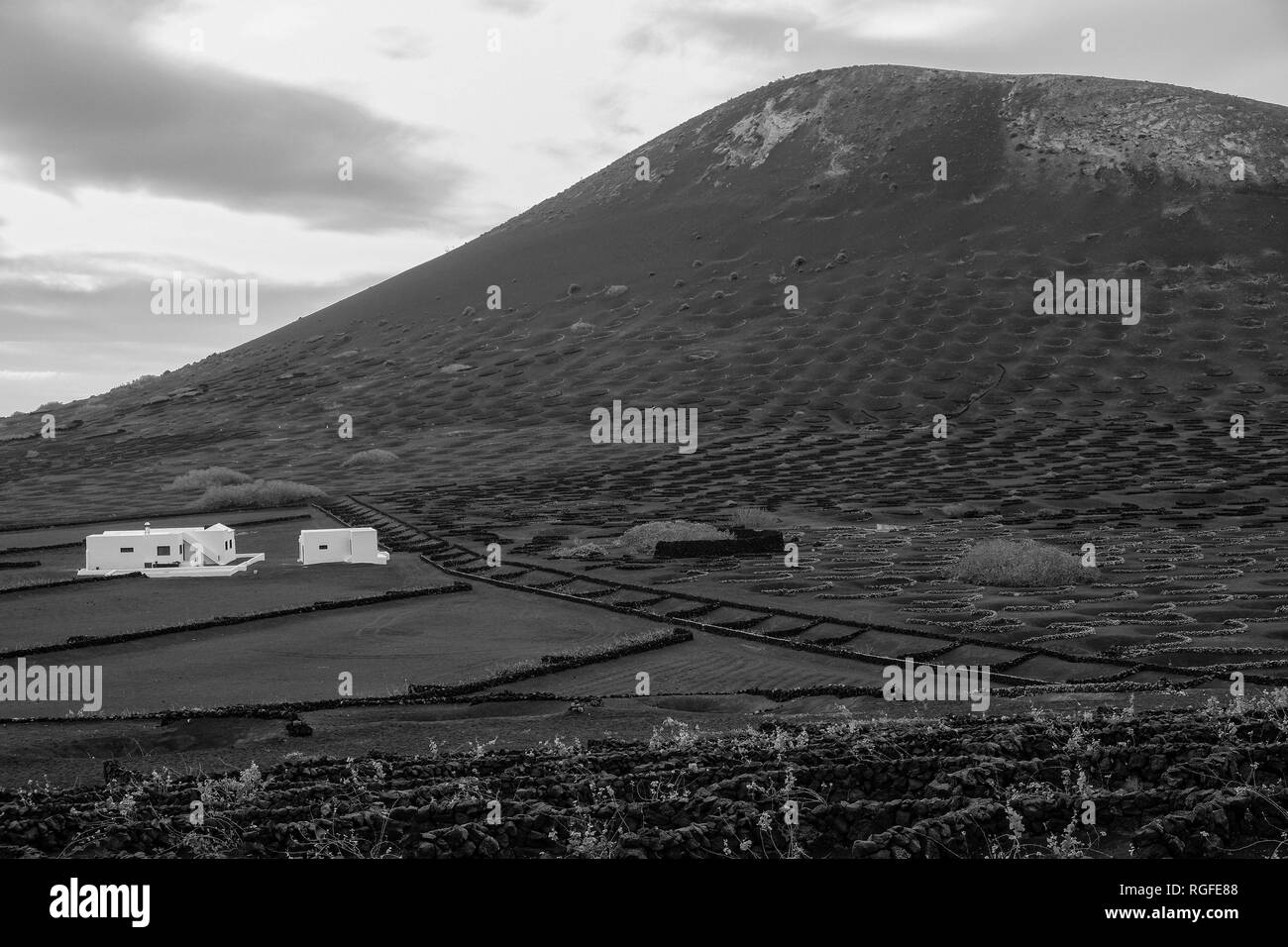 Regione viticola di Geria. Foto Stock