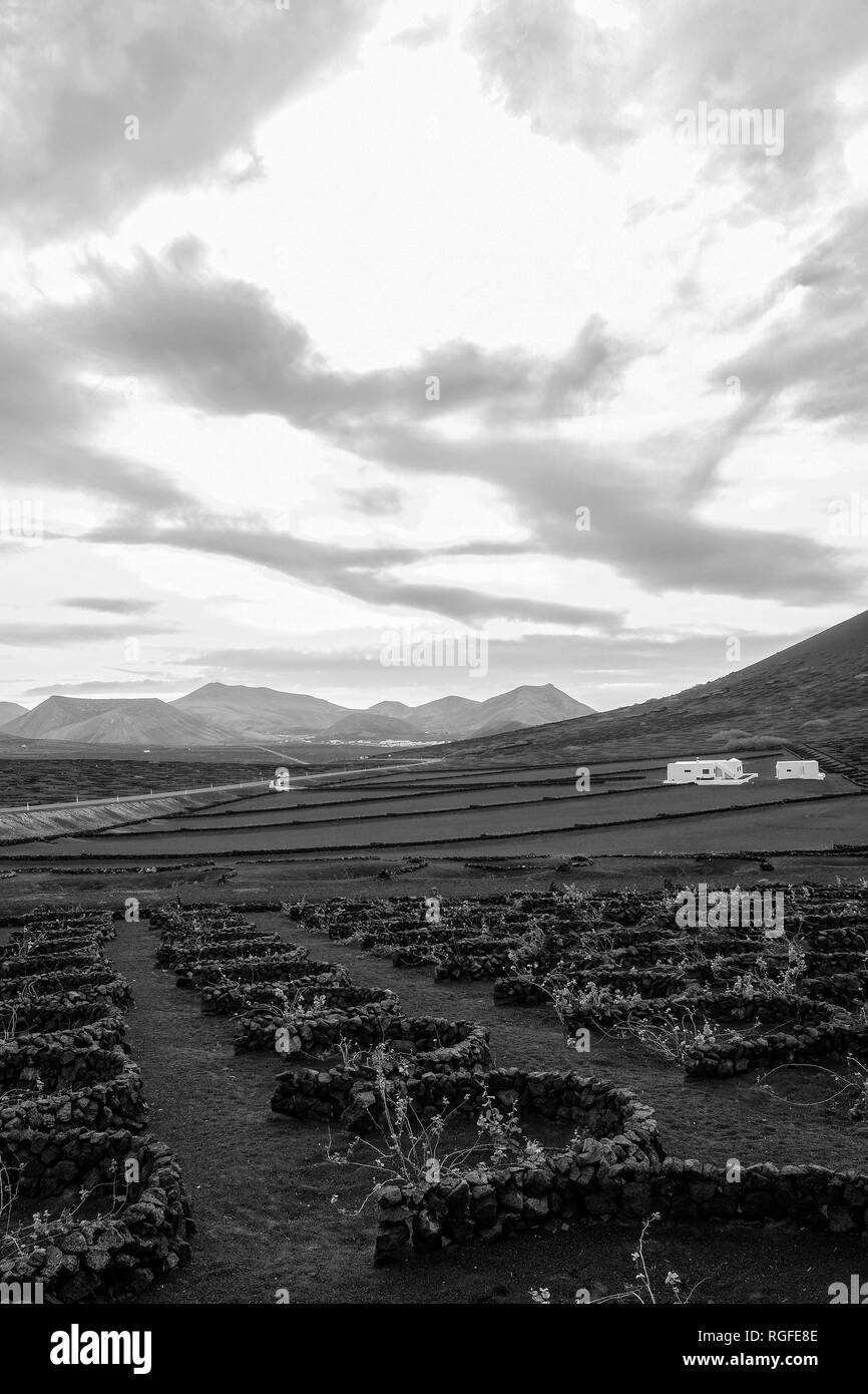 Regione viticola di Geria. Foto Stock