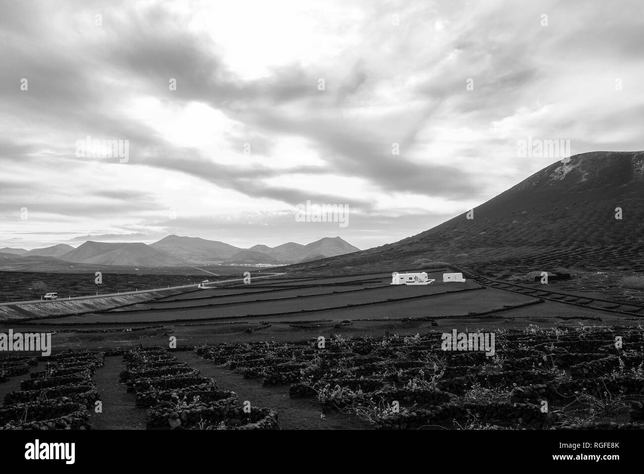 Regione viticola di Geria. Foto Stock