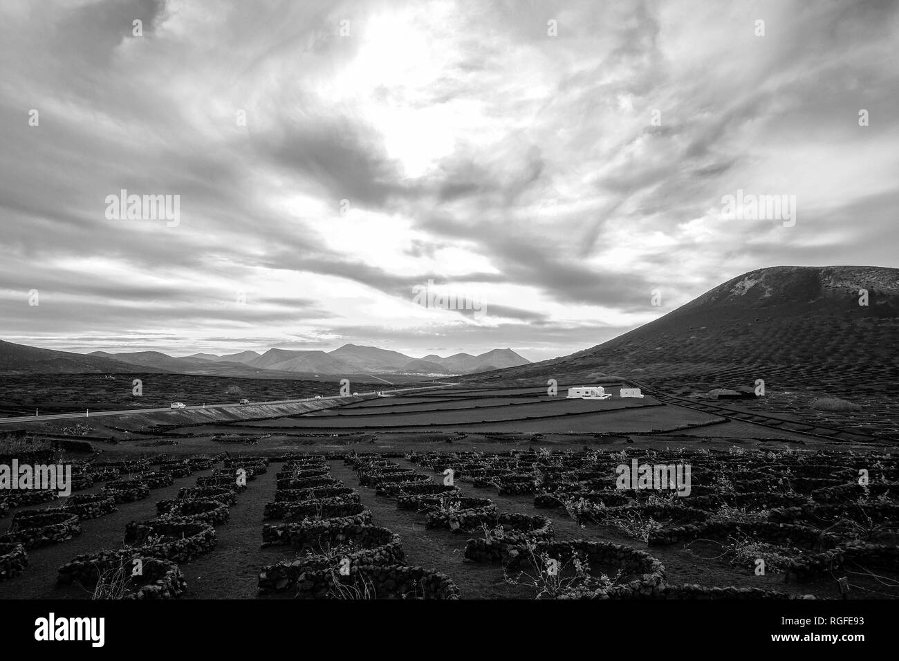 Regione viticola di Geria. Foto Stock