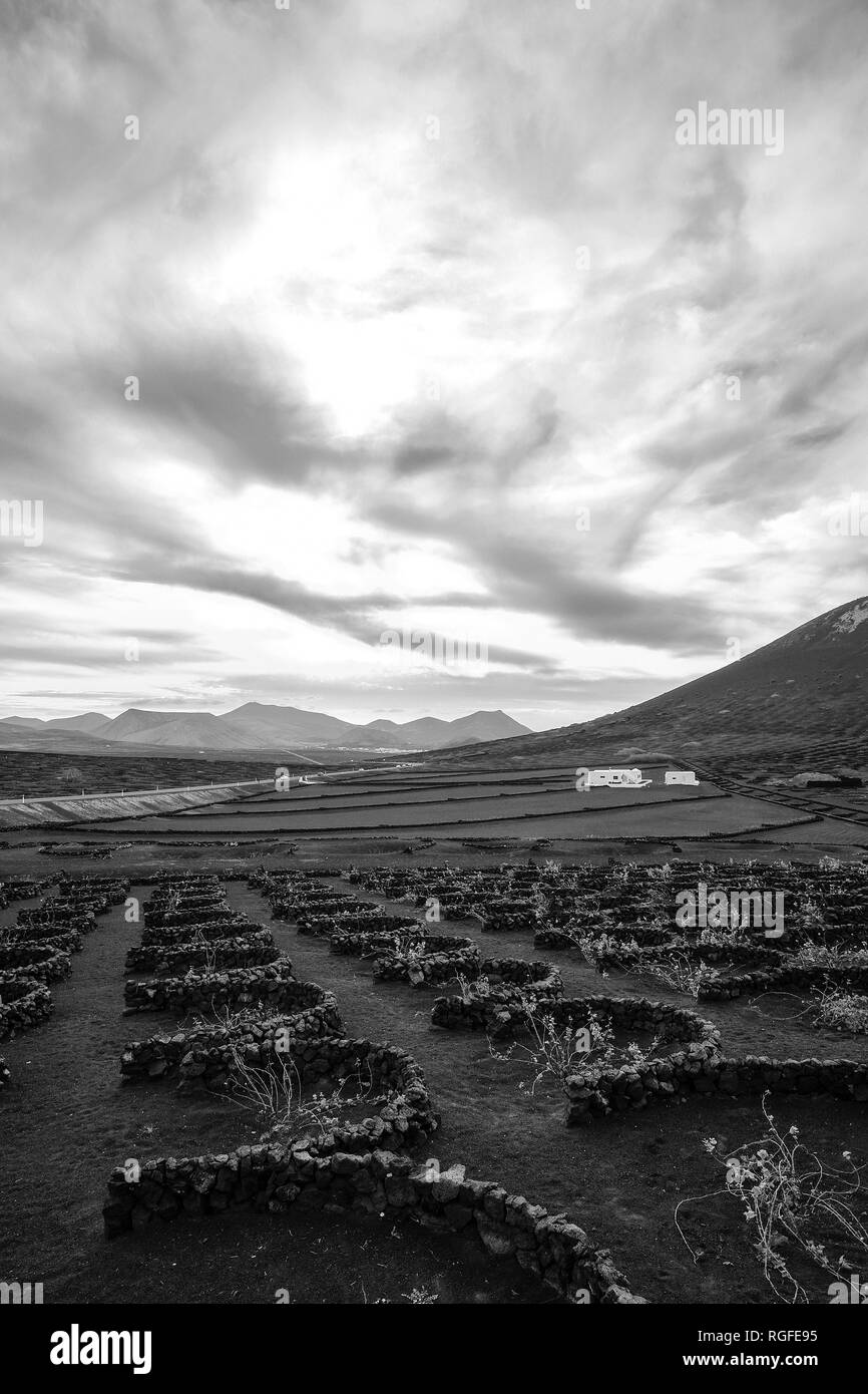 Regione viticola di Geria. Foto Stock