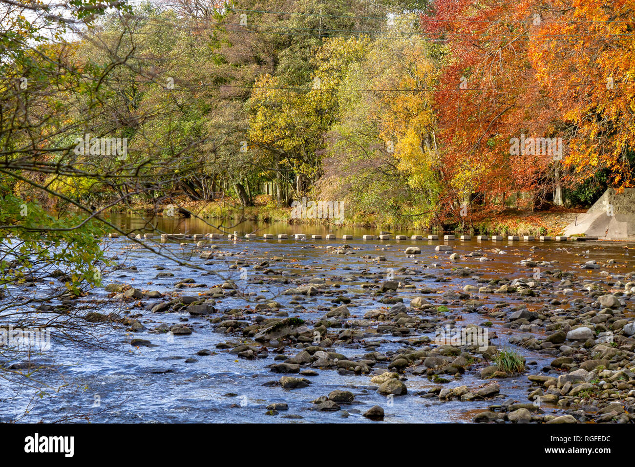 Usura del fiume a Stanhope in Weardale County Durham in autunno Foto Stock