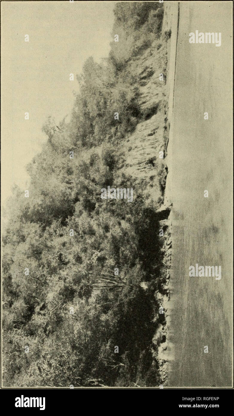 . Bollettino della Geological Society of America. La geologia. 756 K. F. MATHER GAMME ANTERIORE DELLE ANDE. ew 3 &gt; "3 qi 0 43 0) o +j 0) un&GT; un 43 2 o +â ¢&GT; 05 a a c â Si O 43 I Â© +J 13 un cd 0 3J Â"w 43 OS 4) 43 ed â¢un 43 0) +j 3 sd un cd o co m EH M  o&GT; ii o p 4) â ^ 02 t| l "-* â m a c +a una rt'|Â£ ed 0) -t-&GT; un 0 e V 02 Cd e *02 &gt; +J ft. a-1 Q essere o un&GT; m â ¢&LT;!* ^ 43 EH H-. un 4J P "Â£- a a 35 42 O O" cu ^ O pq "3 | un&gt; 0) O H 5 i 09 Â© &gt; H 0&GT; 1â' OS 02 02 . P O 43 r** o +J od +-&GT; un 9 * 2 â¢S W Â£ a i-1 Â"^ Â Â§ o 5 'â ? 22 +j 55 Â"? Un &gt; * S3 Foto Stock