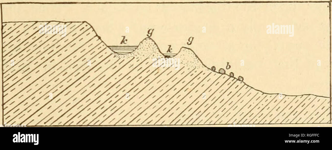 . Bollettino della Geological Society of America. Geologia; Geologia -- Stati Uniti. Superficie ghiaie e sabbie. 85 che occupa la posizione di fronte alla spiaggia. Le nervature possono essere sostituiti da coni, somigliante a depositi di delta. I rilievi sono spesso poco meno diretto e poco più rotto o più variabile in altezza di spiagge, specialmente quando la successiva erosione e disparità di elevazione, causati da movimenti terrestri poiché le ghiaie sono state depositate, è preso in considerazione. I rilievi sono spesso trovati a dividere e racchiudere il bollitore-come depressioni, talvolta asciutto e talvolta contai Foto Stock