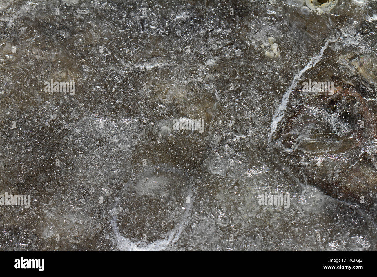Macro di un gelido pozza o modelli di ghiaccio su una stradina di ghiaia in inverno in Italia Foto Stock