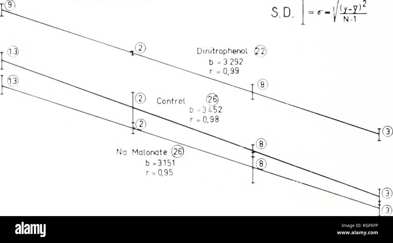 . Bollettino del museo di zoologia comparativa a Harvard College. Zoologia. II BOLLETTINO : museo di zoologia comparativa Vol. 124 Abbiamo osservato nessuna variazione rispetto all'età dell'effetto di dinitrofenolo sul consumo di ossigeno di fette di cervello di ratti. oc • - &LT;v r •J-. / Q3 :c eo"-- z 3.5r 30 25 20 Cricelus cricetus N-1 dinitrofenolo $2). Rattus norvegicus. Si prega di notare che queste immagini vengono estratte dalla pagina sottoposta a scansione di immagini che possono essere state migliorate digitalmente per la leggibilità - Colorazione e aspetto di queste illustrazioni potrebbero non perfettamente assomigliano al lavoro originale. Harvard Foto Stock
