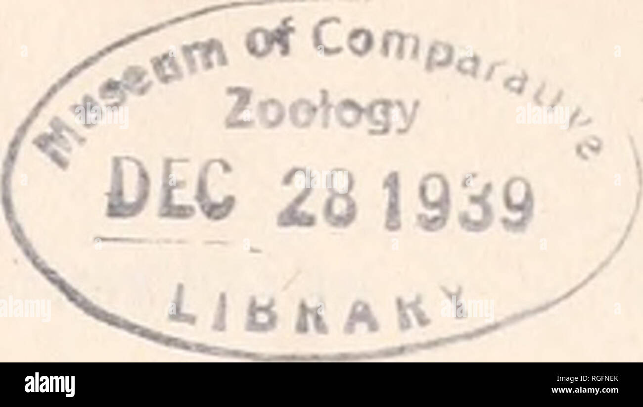 . Bollettino del museo di zoologia comparativa a Harvard College. Zoologia. No. 4.- La Millipeds raccolti nella Appalachian grotte dal sig. Kenneth Dearolf da H. F. Loomis negli anni 1935 al 1938, il sig. Kenneth Dearolf, Wyomissing colline, Prato Ovest, Pennsylvania, raccolti uno dei più vasti riuniscono- zioni di invertebrati da grotte che è stato fatto in questo paese, oltre 60 grotte in sette Stati orientali, quattro in Texas e cinque in Missouri, aventi stato visitato nel progetto. Una descrizione di raccogliere- ing metodi e riassunti i risultati sono stati riportati da lui1, mentre gli animali themselve Foto Stock