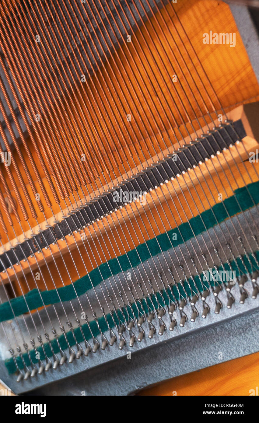 Vista ravvicinata di stringhe dentro il pianoforte. Foto Stock