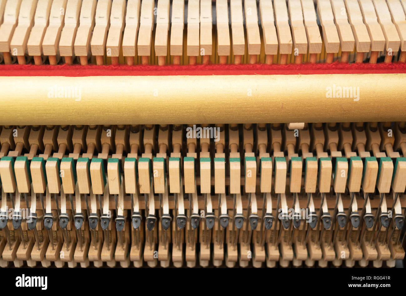 Vista ravvicinata di martelli e stringhe dentro il pianoforte. Foto Stock