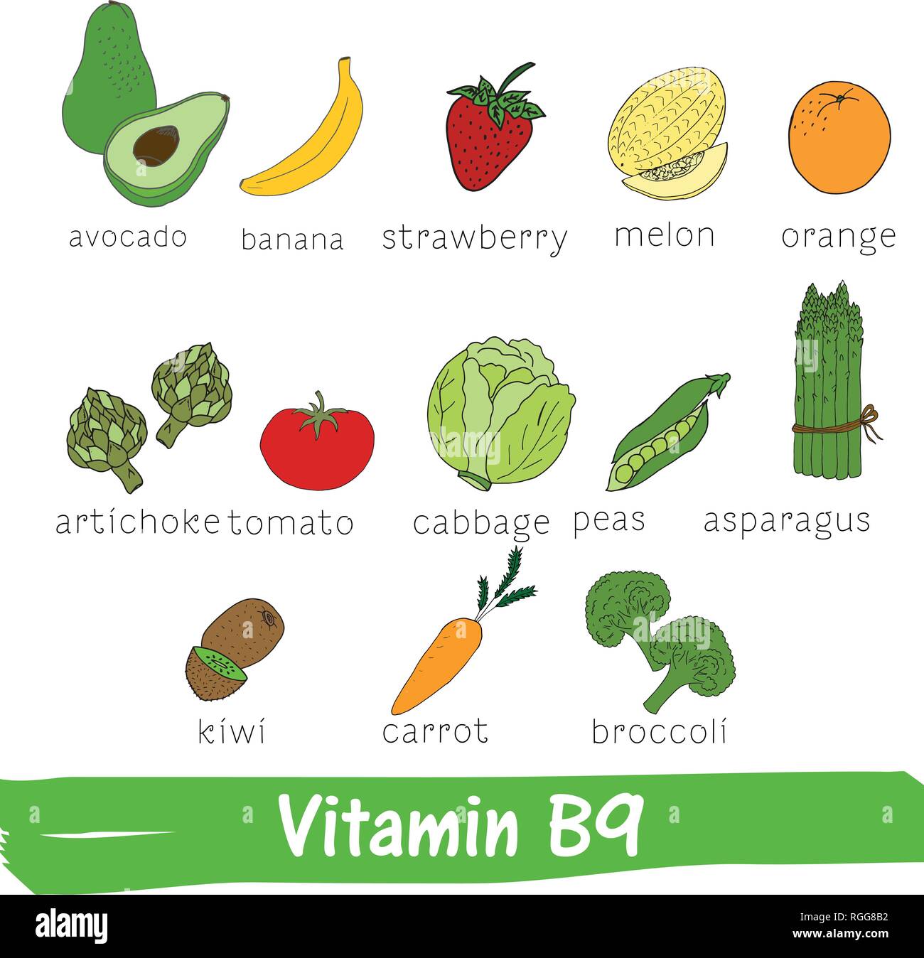 La verdura e la frutta con un alto contenuto di vitamina B9. Disegnata a mano vector vitamina impostato Illustrazione Vettoriale