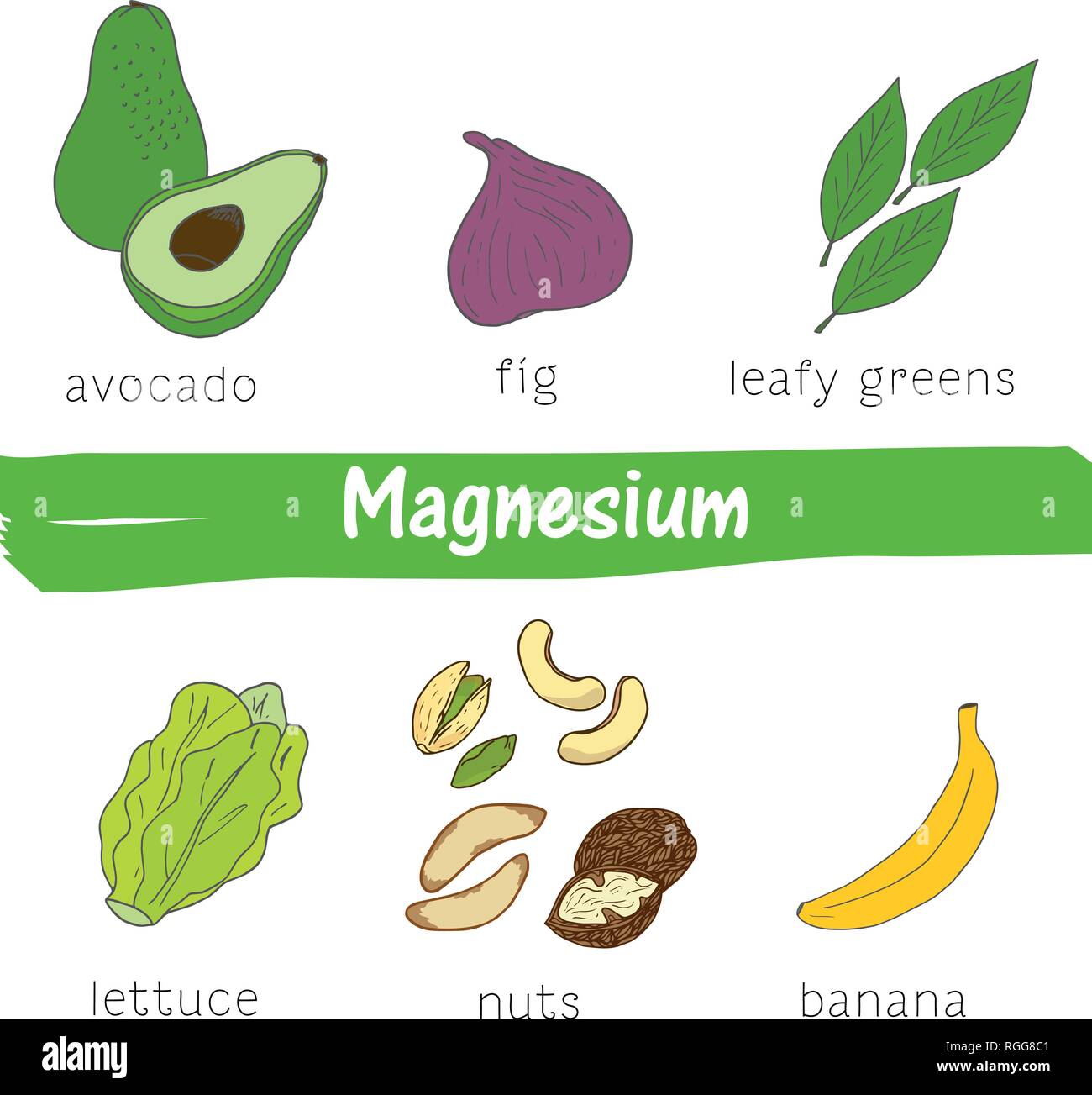 La verdura e la frutta con un alto contenuto di magnesio. Disegnata a mano vector vitamina impostato Illustrazione Vettoriale