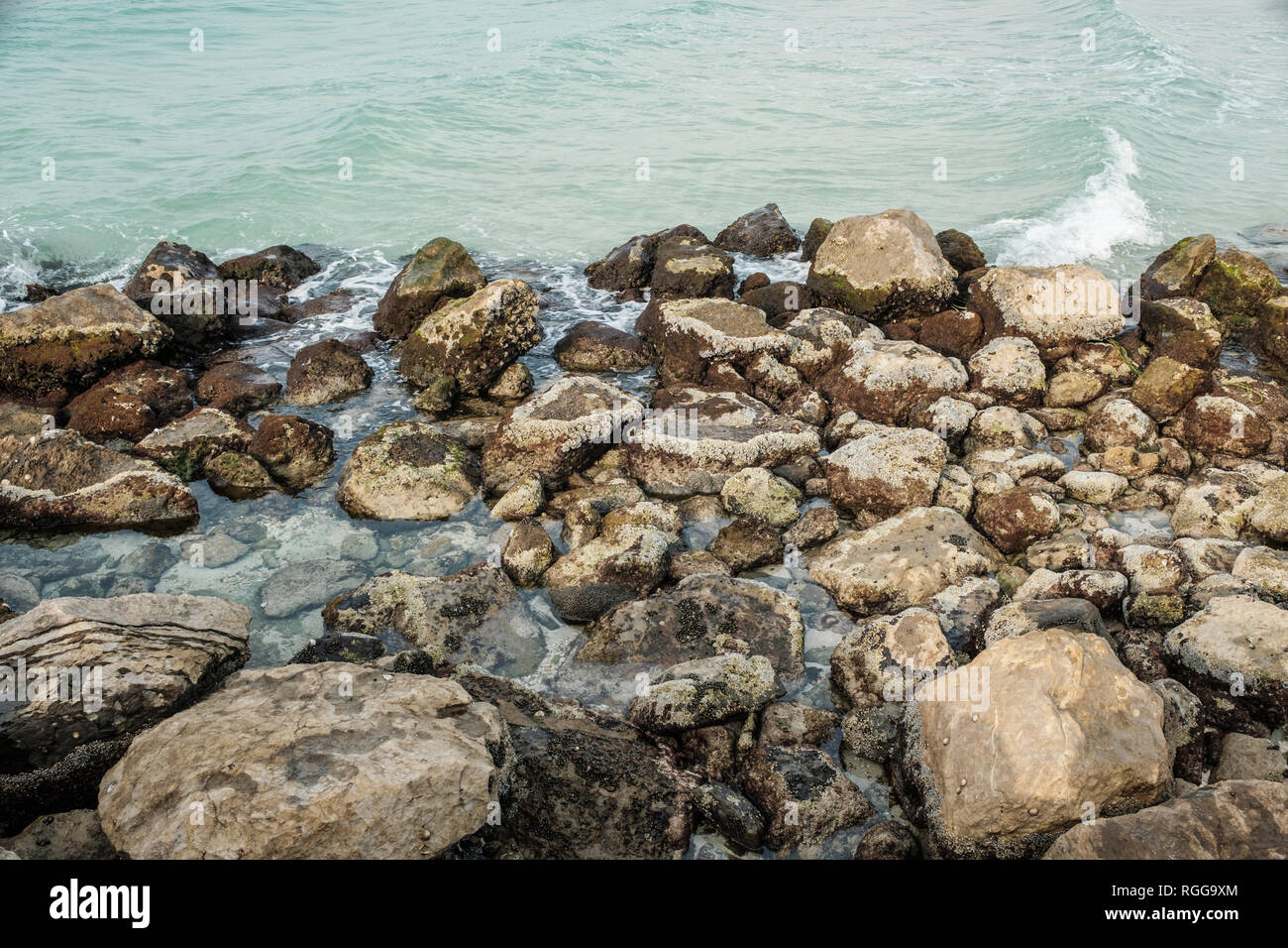 Rocce di alghe Al Hamriyah Sharjah Beach, EMIRATI ARABI UNITI Foto Stock