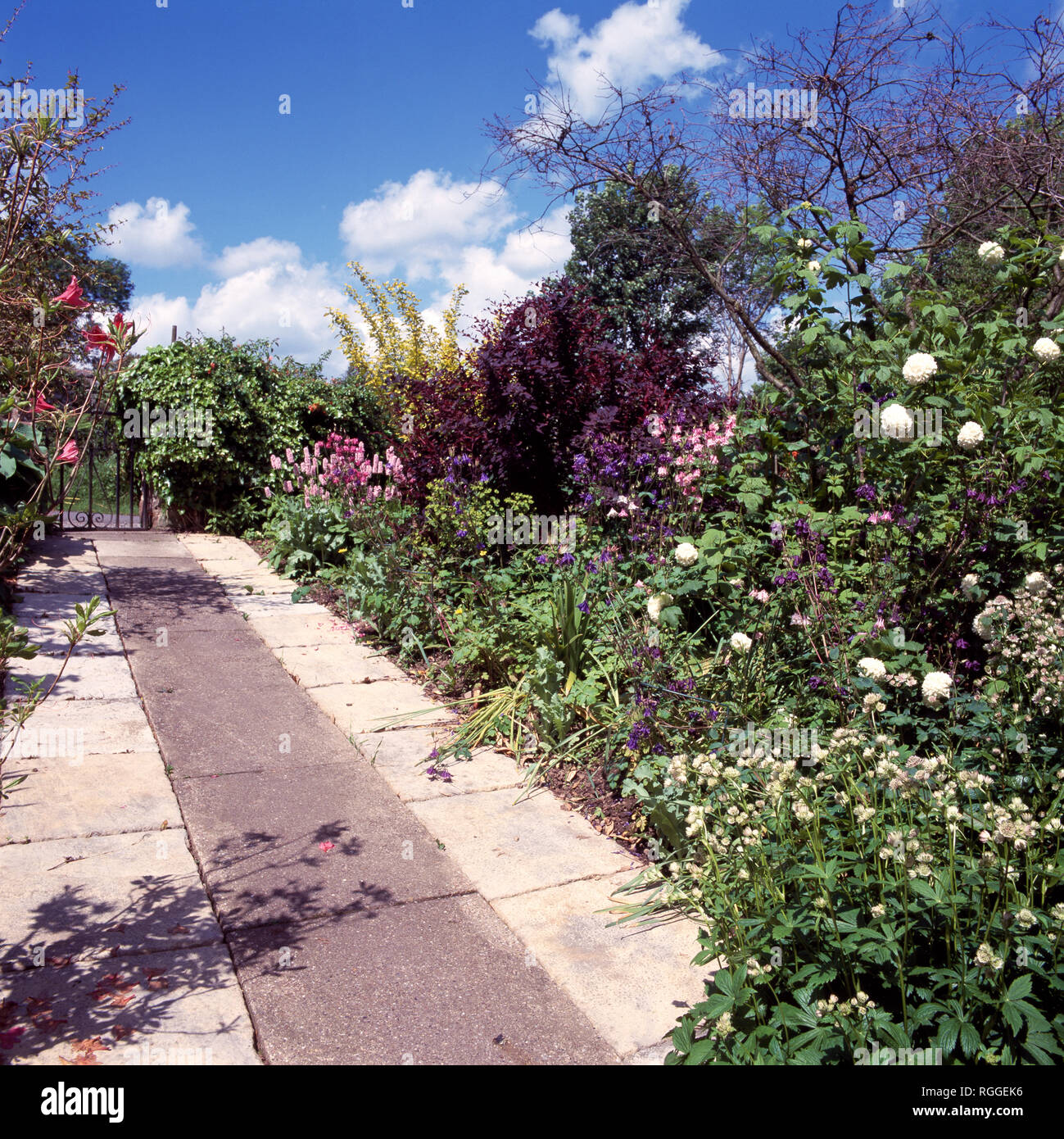 Ampio sentiero lastricato accanto al grande frontiera erbacee Foto Stock